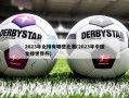 2023年女排有哪些比赛(2023年中国女排世界杯)