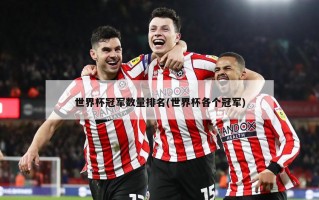 世界杯冠军数量排名(世界杯各个冠军)