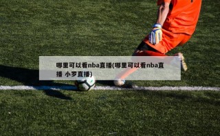 哪里可以看nba直播(哪里可以看nba直播 小罗直播)