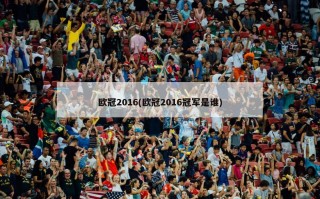 欧冠2016(欧冠2016冠军是谁)