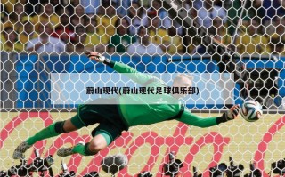 蔚山现代(蔚山现代足球俱乐部)