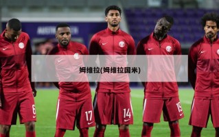 姆维拉(姆维拉国米)