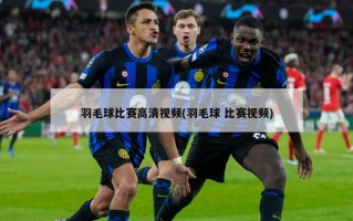 羽毛球比赛高清视频(羽毛球 比赛视频)