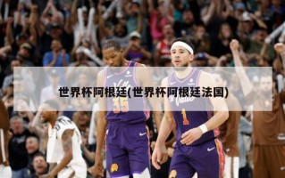 世界杯阿根廷(世界杯阿根廷法国)