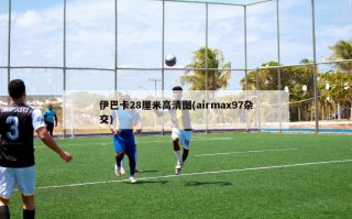 伊巴卡28厘米高清图(airmax97杂交)