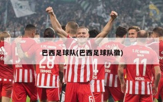 巴西足球队(巴西足球队徽)