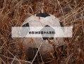 纳吉(纳吉是什么意思)