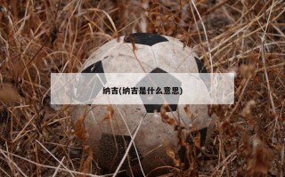 纳吉(纳吉是什么意思)