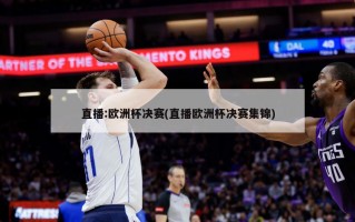 直播:欧洲杯决赛(直播欧洲杯决赛集锦)