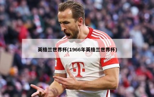 英格兰世界杯(1966年英格兰世界杯)