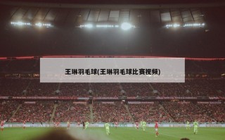 王琳羽毛球(王琳羽毛球比赛视频)