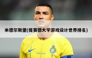 米德尔斯堡(提赛德大学游戏设计世界排名)