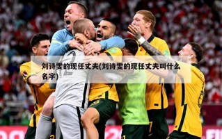 刘诗雯的现任丈夫(刘诗雯的现任丈夫叫什么名字)