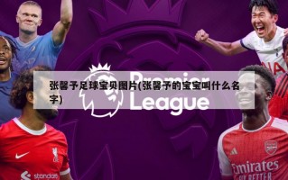 张馨予足球宝贝图片(张馨予的宝宝叫什么名字)