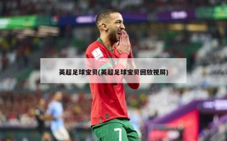 英超足球宝贝(英超足球宝贝回放视屏)