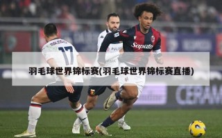 羽毛球世界锦标赛(羽毛球世界锦标赛直播)