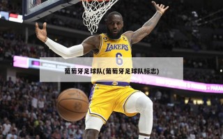 葡萄牙足球队(葡萄牙足球队标志)