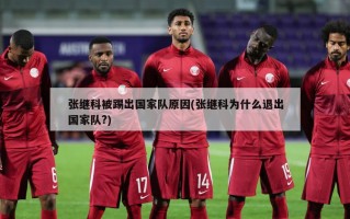 张继科被踢出国家队原因(张继科为什么退出国家队?)