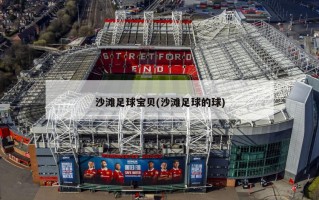 沙滩足球宝贝(沙滩足球的球)