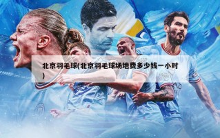 北京羽毛球(北京羽毛球场地费多少钱一小时)
