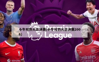 小牛对热火总决赛(小牛对热火总决赛2006)