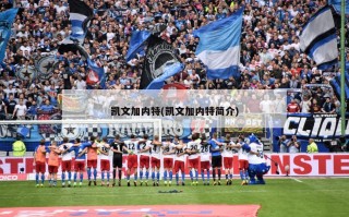 凯文加内特(凯文加内特简介)