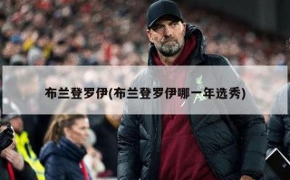 布兰登罗伊(布兰登罗伊哪一年选秀)