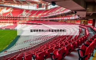 篮球世界杯(23年篮球世界杯)