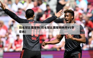 羽毛球比赛视频(羽毛球比赛视频林丹VS李宗纬)