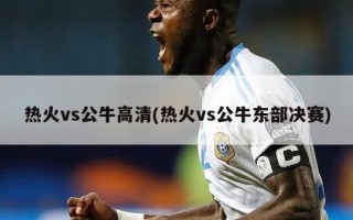 热火vs公牛高清(热火vs公牛东部决赛)