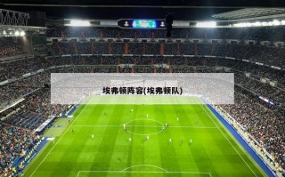 埃弗顿阵容(埃弗顿队)