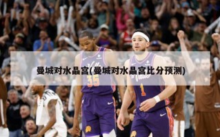 曼城对水晶宫(曼城对水晶宫比分预测)