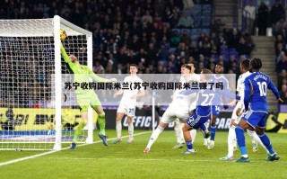 苏宁收购国际米兰(苏宁收购国际米兰赚了吗)