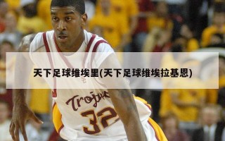 天下足球维埃里(天下足球维埃拉基恩)