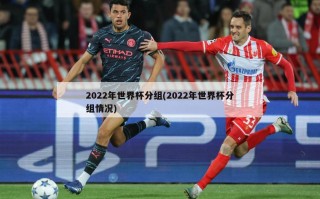 2022年世界杯分组(2022年世界杯分组情况)