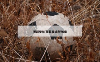 英超曼城(英超曼城利物浦)