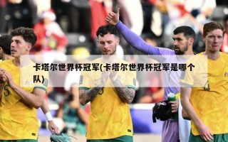 卡塔尔世界杯冠军(卡塔尔世界杯冠军是哪个队)