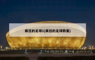 疯狂的足球1(疯狂的足球教案)
