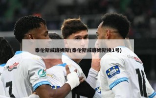 泰伦斯威廉姆斯(泰伦斯威廉姆斯换1号)