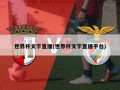 世界杯文字直播(世界杯文字直播平台)