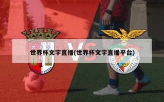 世界杯文字直播(世界杯文字直播平台)