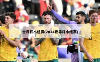 世界杯小组赛(2014世界杯小组赛)