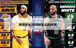 网球排名(网球排名丘的网球)