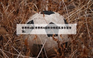 世界杯a组(世界杯A组积分榜厄瓜多尔暂登顶)