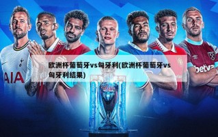 欧洲杯葡萄牙vs匈牙利(欧洲杯葡萄牙vs匈牙利结果)