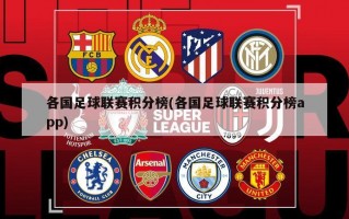 各国足球联赛积分榜(各国足球联赛积分榜app)