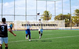 北京羽毛球场(北京羽毛球场地预约)