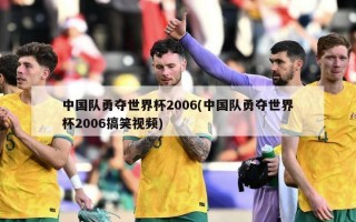 中国队勇夺世界杯2006(中国队勇夺世界杯2006搞笑视频)