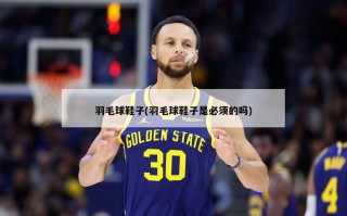 羽毛球鞋子(羽毛球鞋子是必须的吗)
