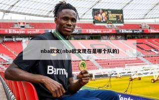 nba欧文(nba欧文现在是哪个队的)